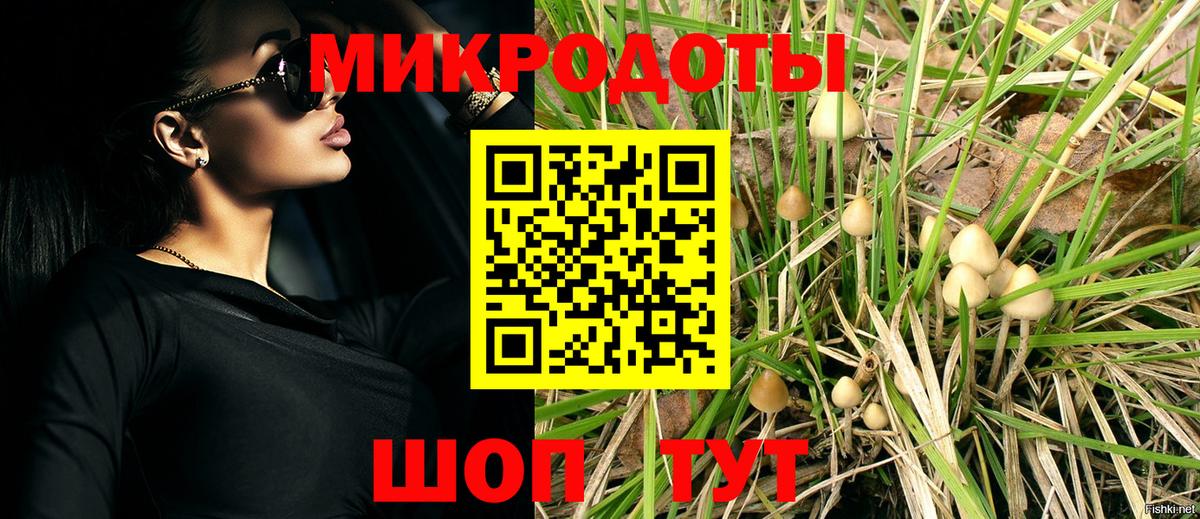Псилоцибиновые грибы прущие грибы  Вход с VPN  Красноармейск 