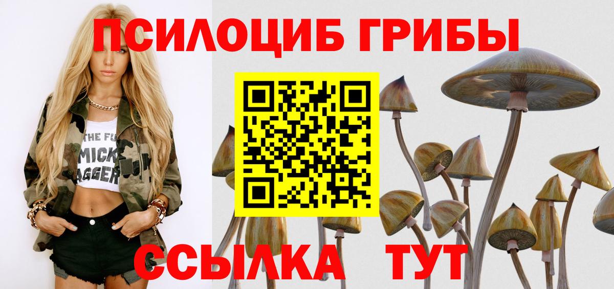 Галлюциногенные грибы Cubensis Красноармейск